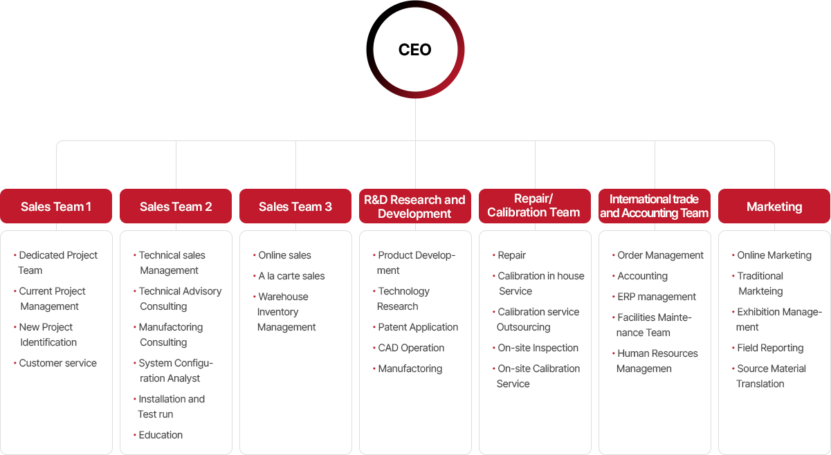 Team Structure